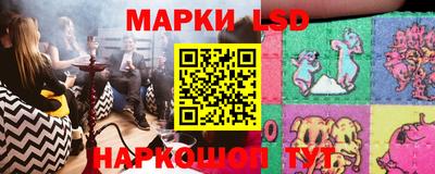 гидропоника Гатчина