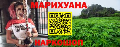гидропоника Гатчина