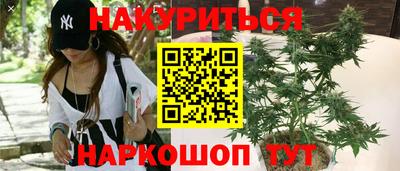 гидропоника Гатчина