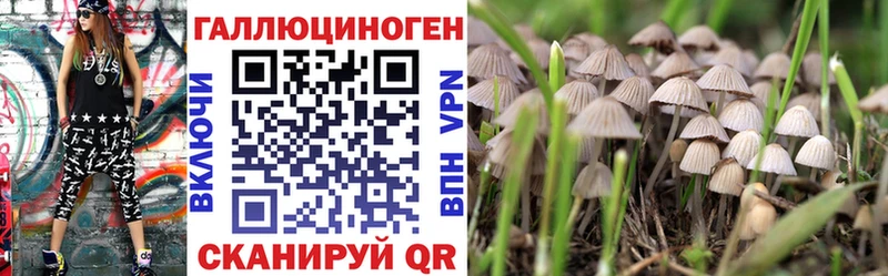 Галлюциногенные грибы Magic Shrooms  где продают   кракен рабочий сайт  Каменск-Шахтинский 