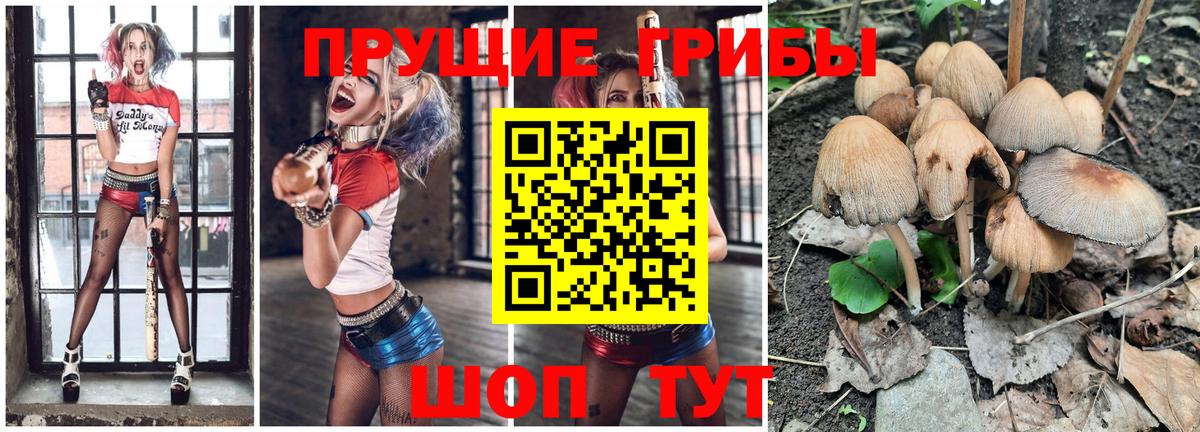 Псилоцибиновые грибы ЛСД  Каменск-Шахтинский 